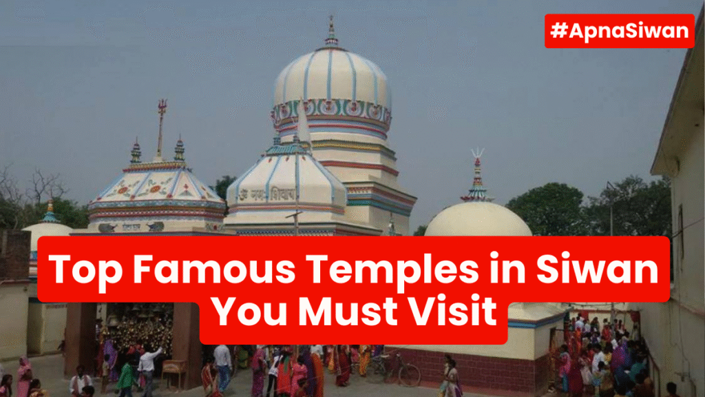 Top Famous Temples in Siwan